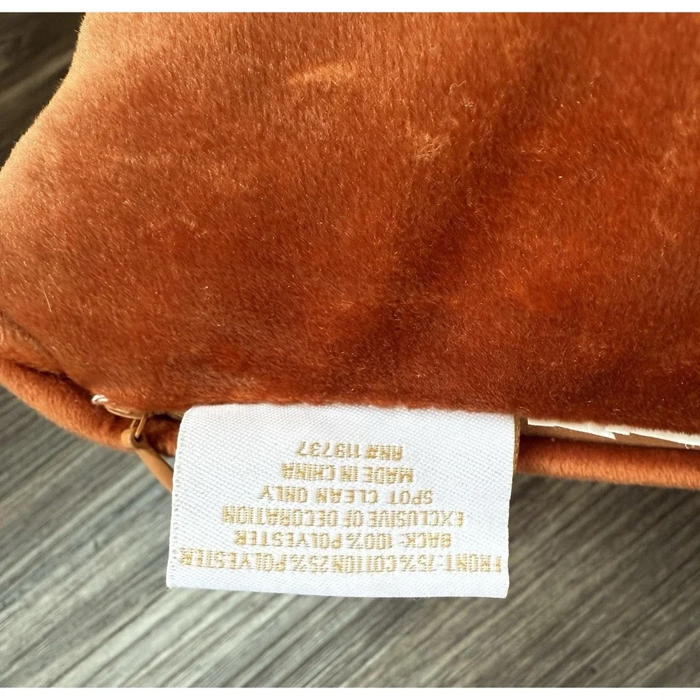 HFS Home Pumpkin Fall Harvest Plaid Down Feather Pillow Orange Velvet 20x20‎
